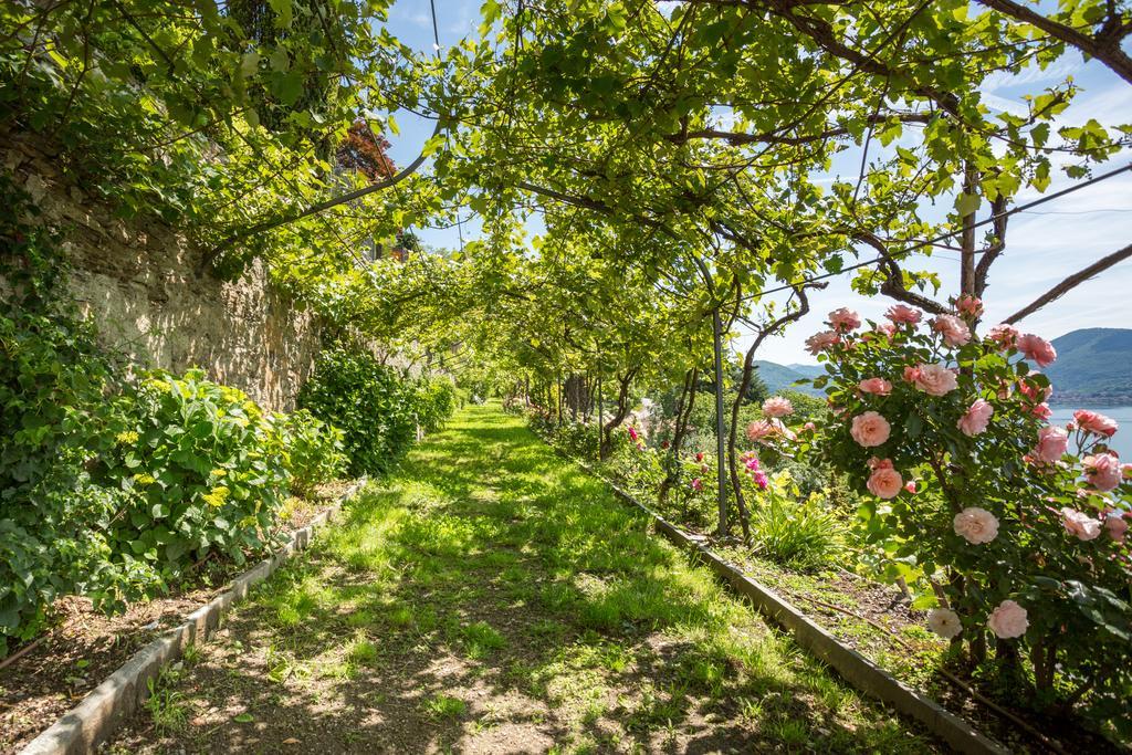 Villa Paradiso Cannero Riviera Exterior foto